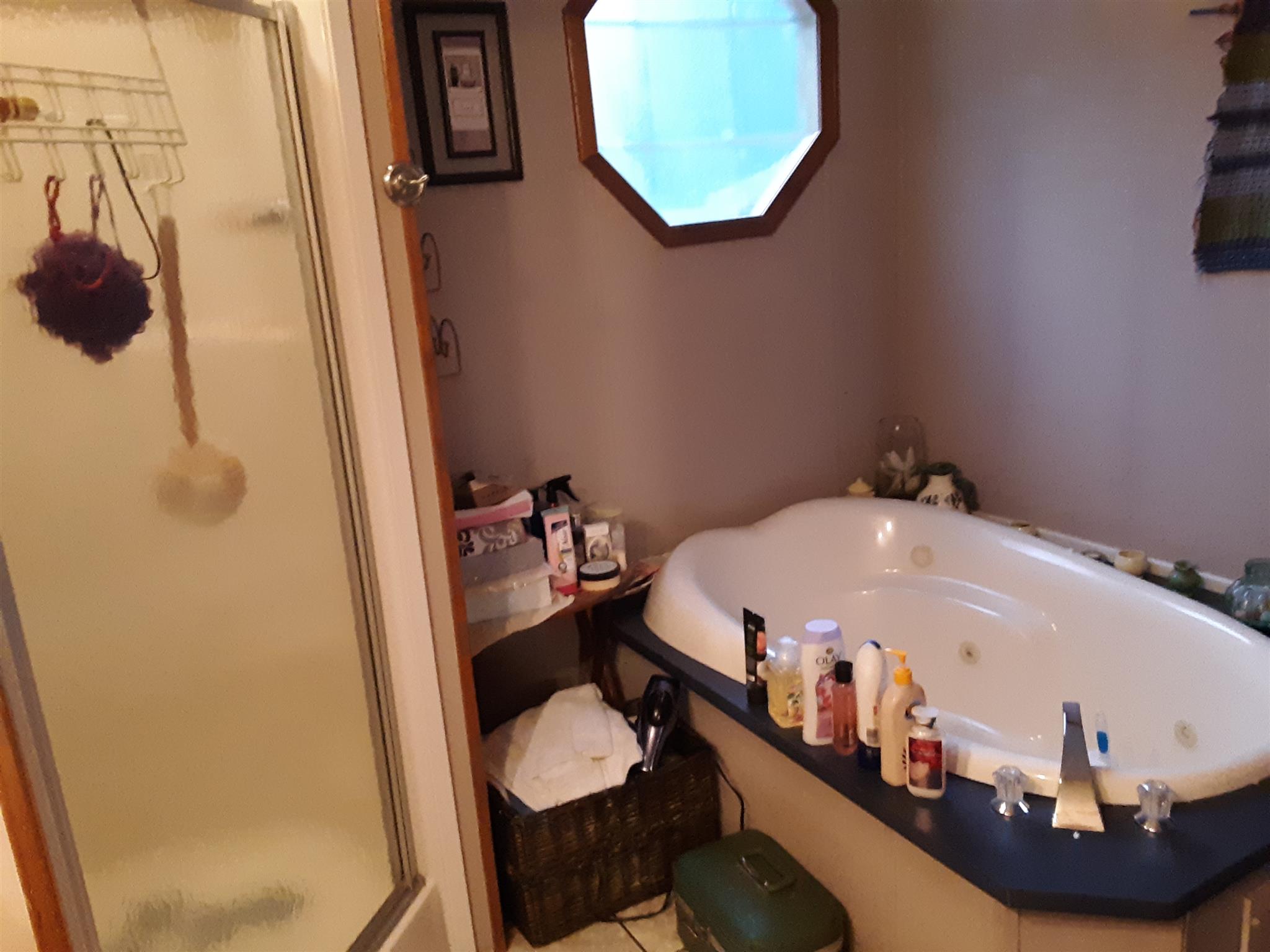 289 Ray Jent Road Bethpage, TN 37022 - Photo 12 of 19 a bathroom with a sink and mirror with toilet