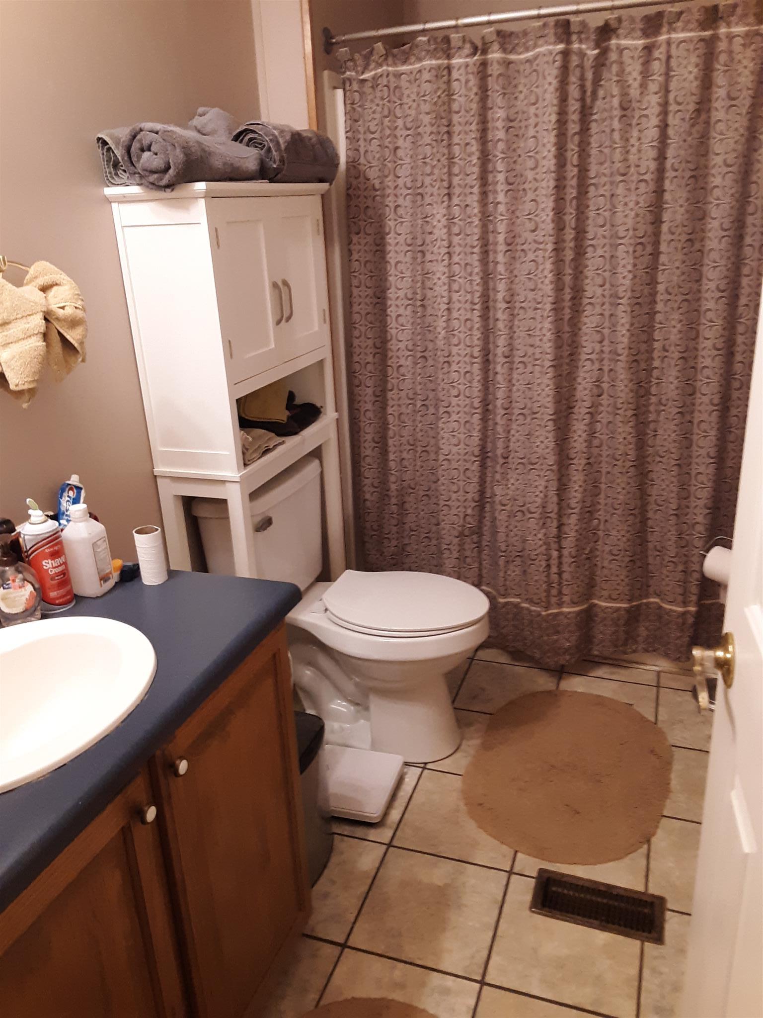 289 Ray Jent Road Bethpage, TN 37022 - Photo 13 of 19 a bathroom with a sink toilet and shower