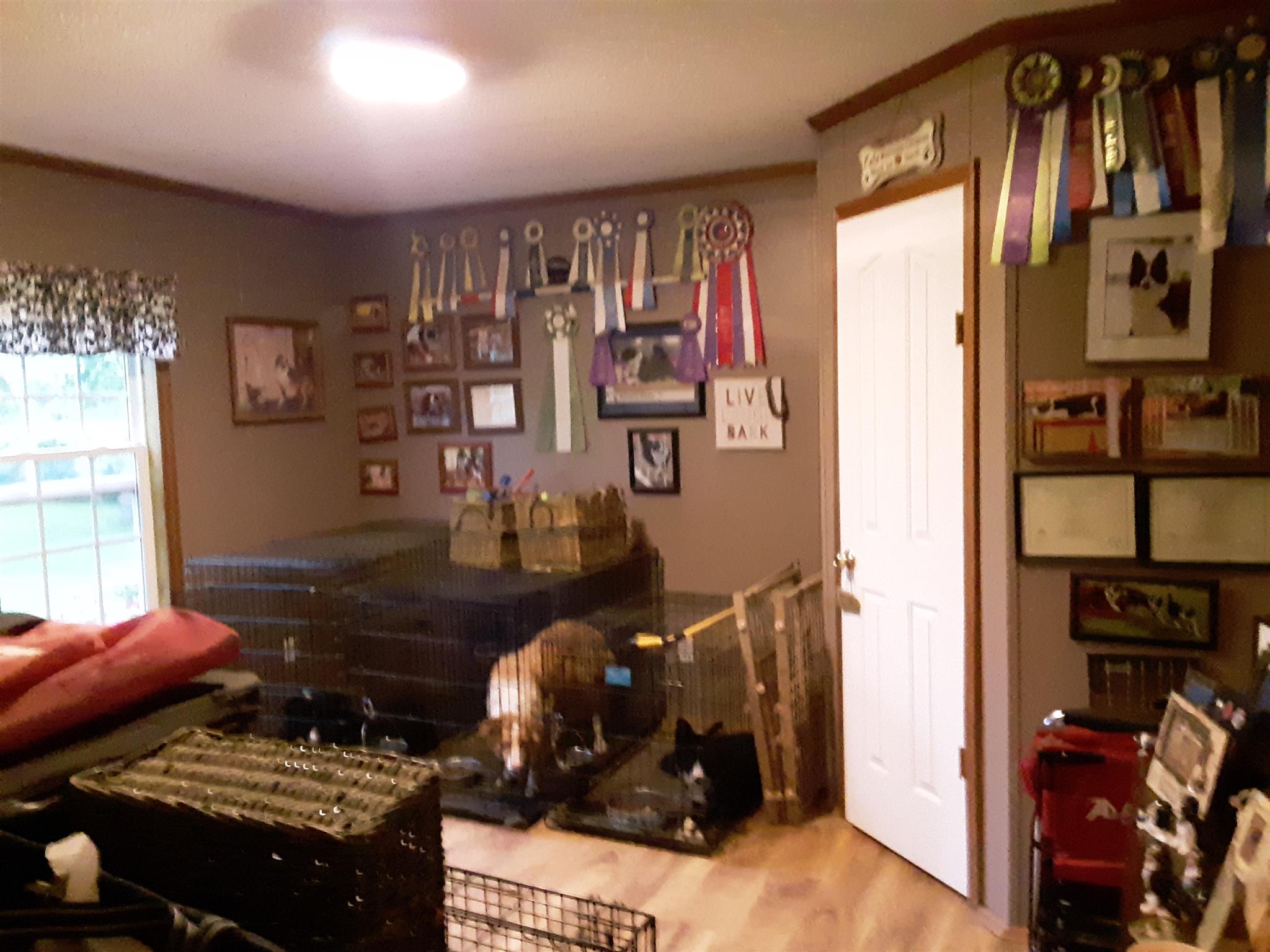 289 Ray Jent Road Bethpage, TN 37022 - Photo 14 of 19 a living room with furniture and a window