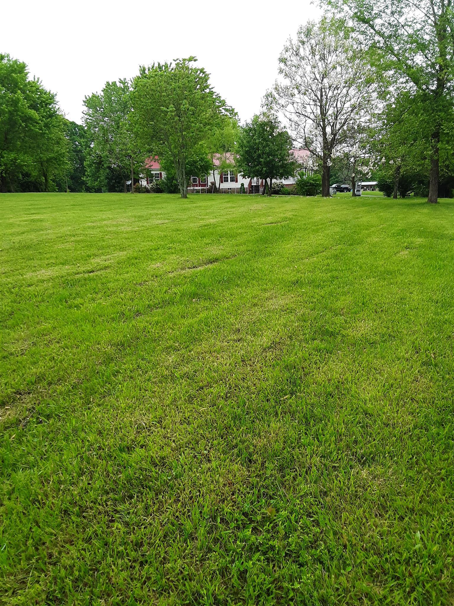 289 Ray Jent Road Bethpage, TN 37022 - Photo 3 of 19 a view of grassy field with benches