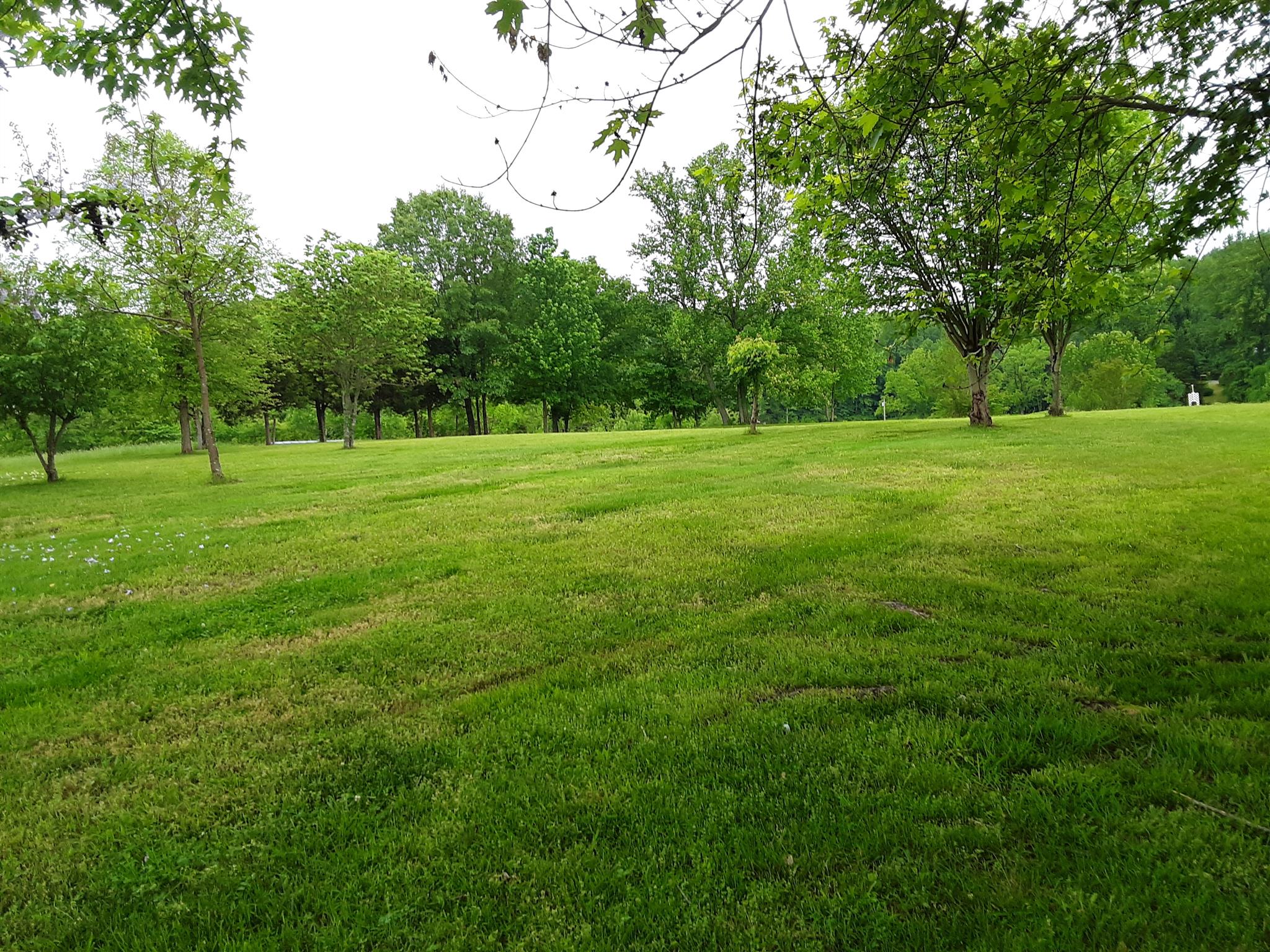 289 Ray Jent Road Bethpage, TN 37022 - Photo 5 of 19 a view of grassy field with trees
