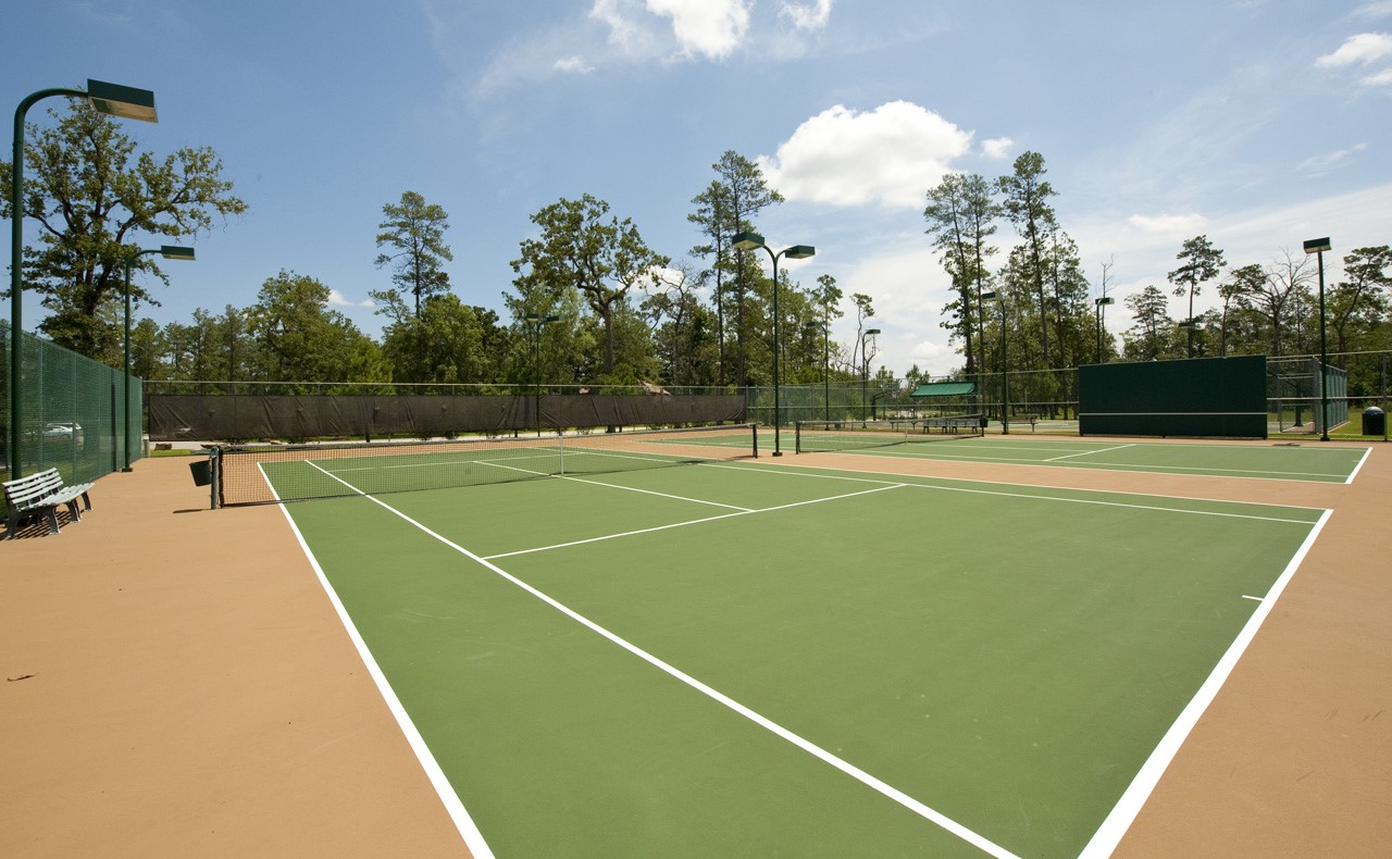 27588 South Lazy Meadow Way Spring, TX 77386 - Photo 9 of 9 Neighborhood amenities