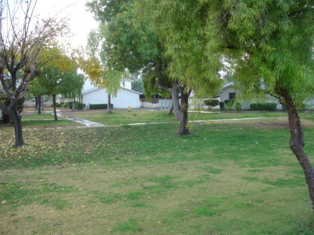 5113 South Terrace Road Tempe, AZ 85282 - Photo 3 of 4 Community Open Space
