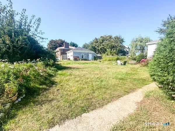 a small yard with trees