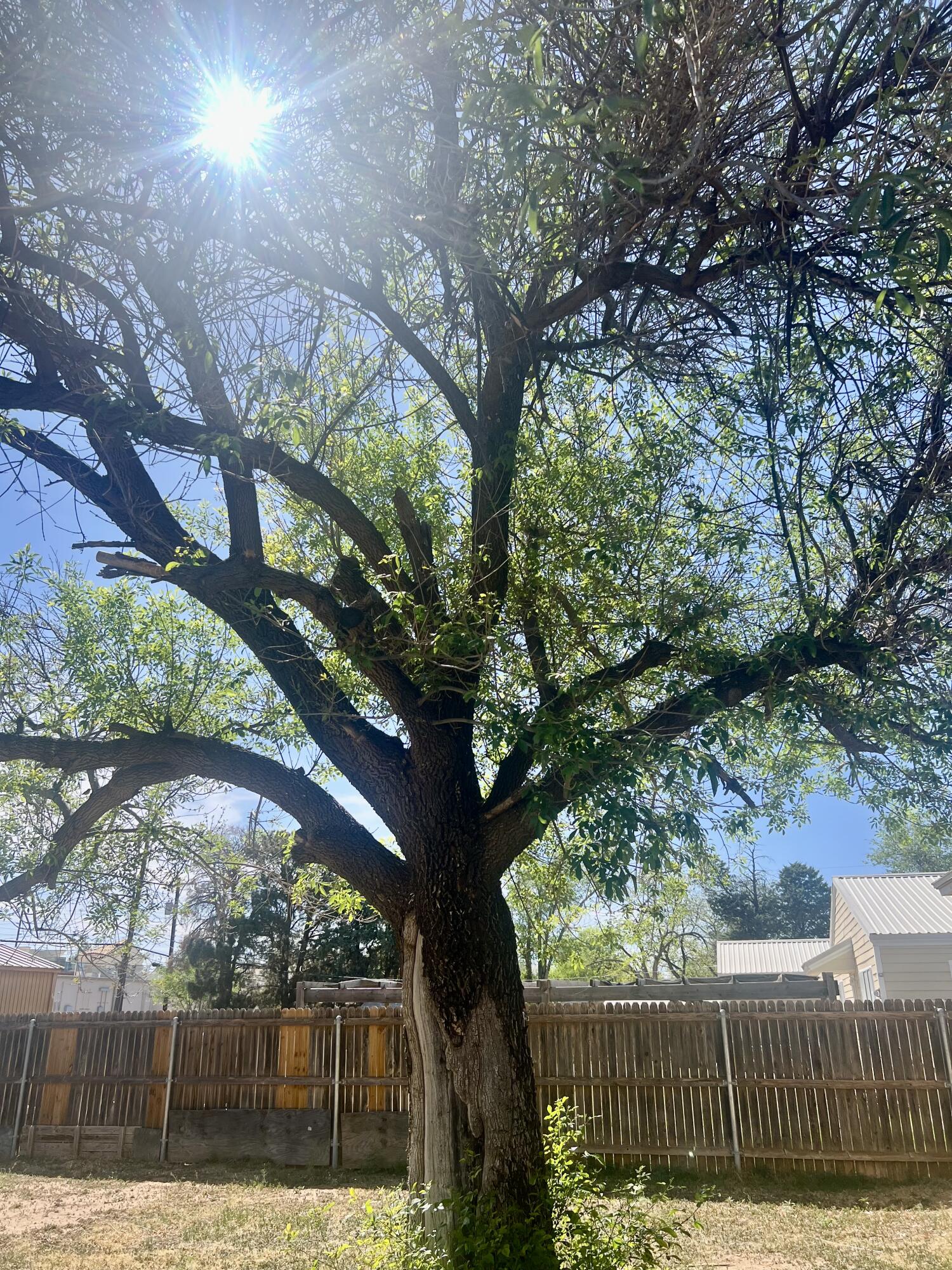 4403 18th Street Lubbock, TX 79407 - Photo 14 of 24 IMG_4334