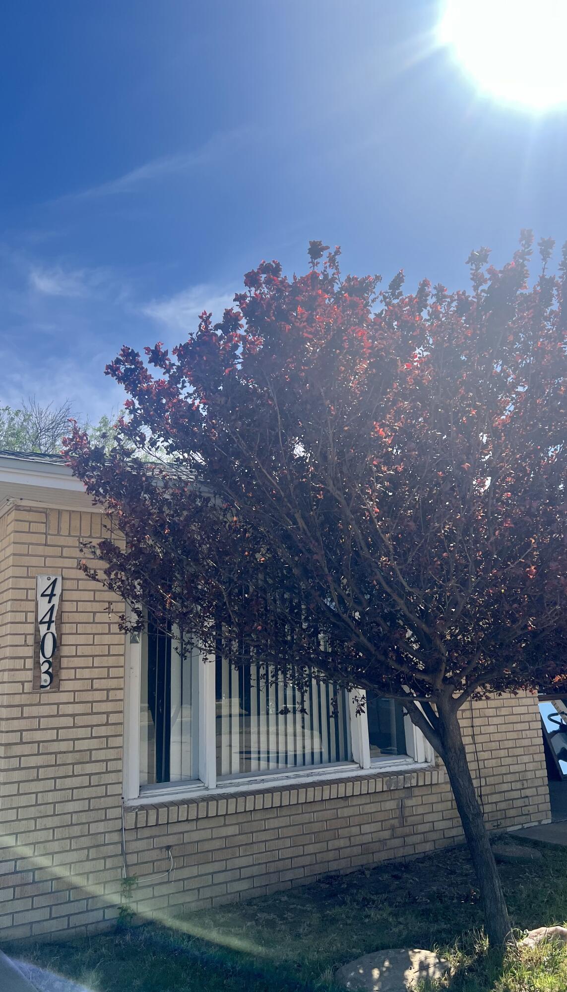 4403 18th Street Lubbock, TX 79407 - Photo 20 of 24 IMG_4349