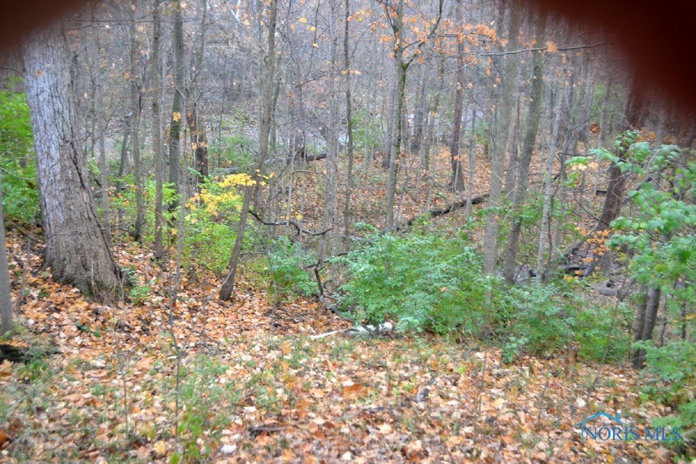 15711 Custar Road Grand Rapids, OH 43522 - Photo 6 of 13 Gallery Image 6