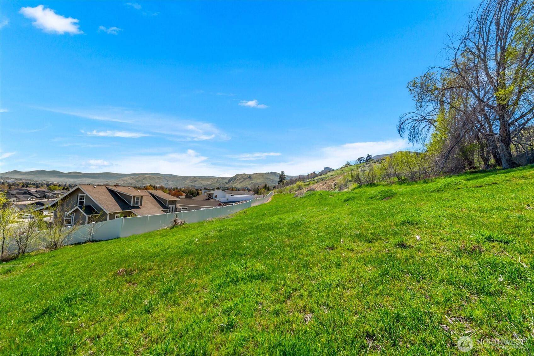 935 Silas Lane Wenatchee, WA 98801 - Photo 24 of 24 a view of a big yard with potted plants and large tree