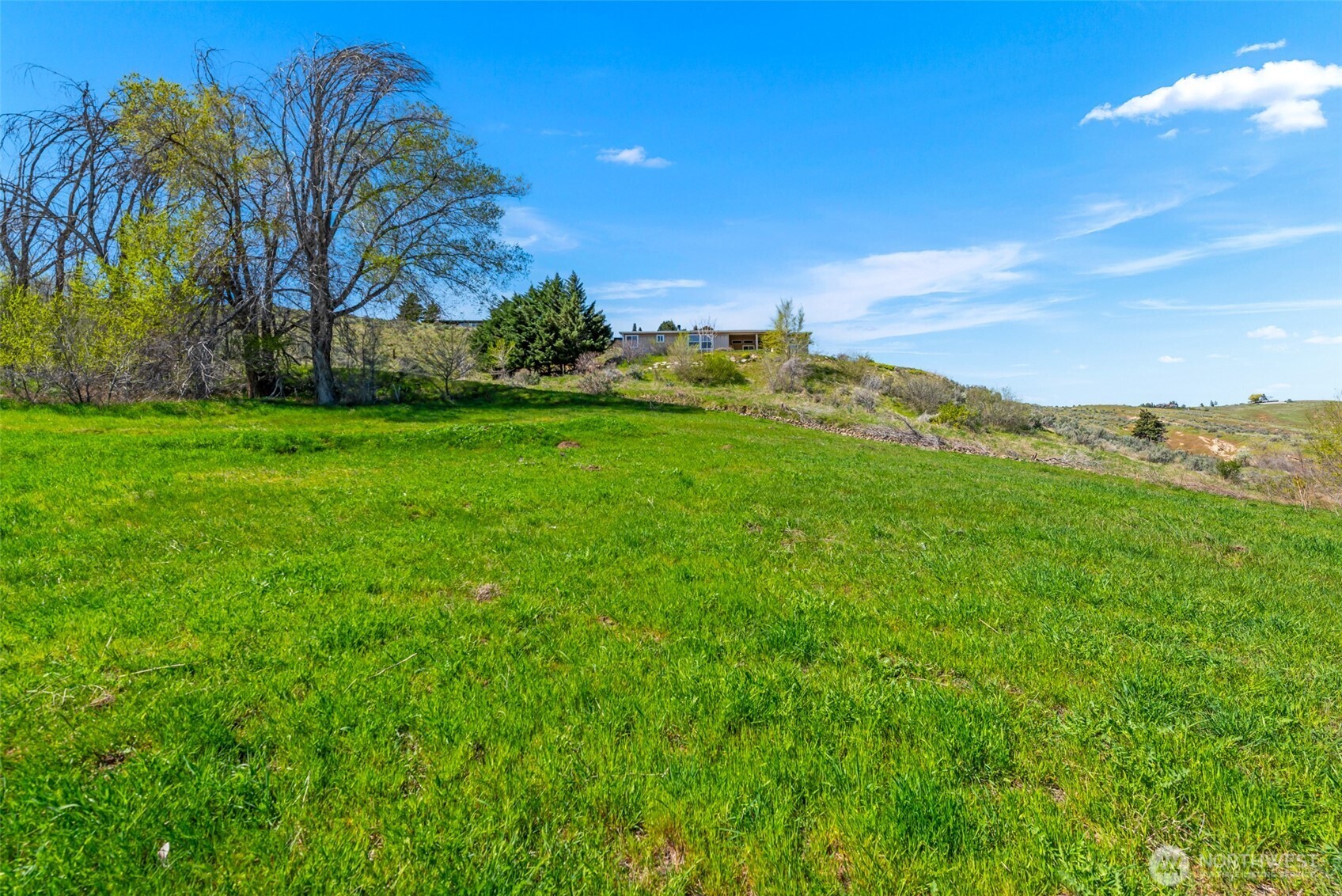 935 Silas Lane Wenatchee, WA 98801 - Photo 5 of 24 a view of a grassy field with an trees