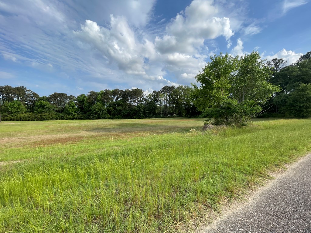 219 McCord Road Dothan, AL 36301 - Photo 3 of 5