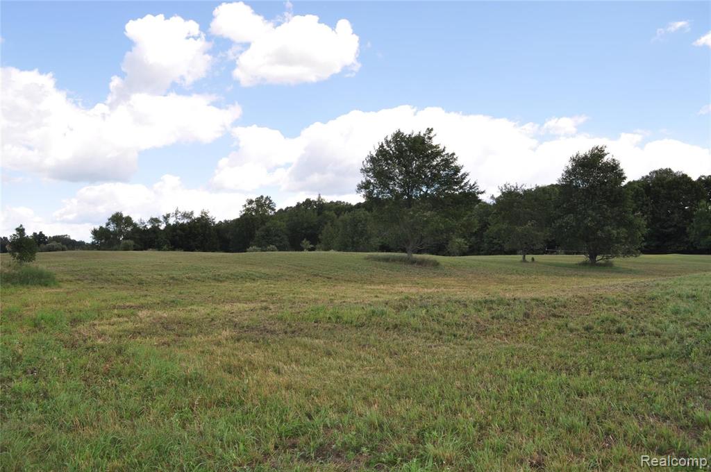 0 West Coon Lake Road Webberville, MI 48892 - Photo 1 of 38