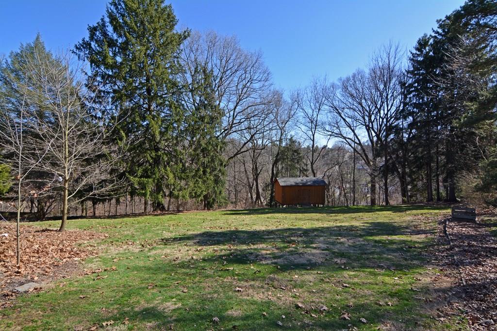 130 Harding Road Pittsburgh, PA 15229 - Photo 20 of 23 The huge back yard is bordered by mature trees and includes a large storage shed.