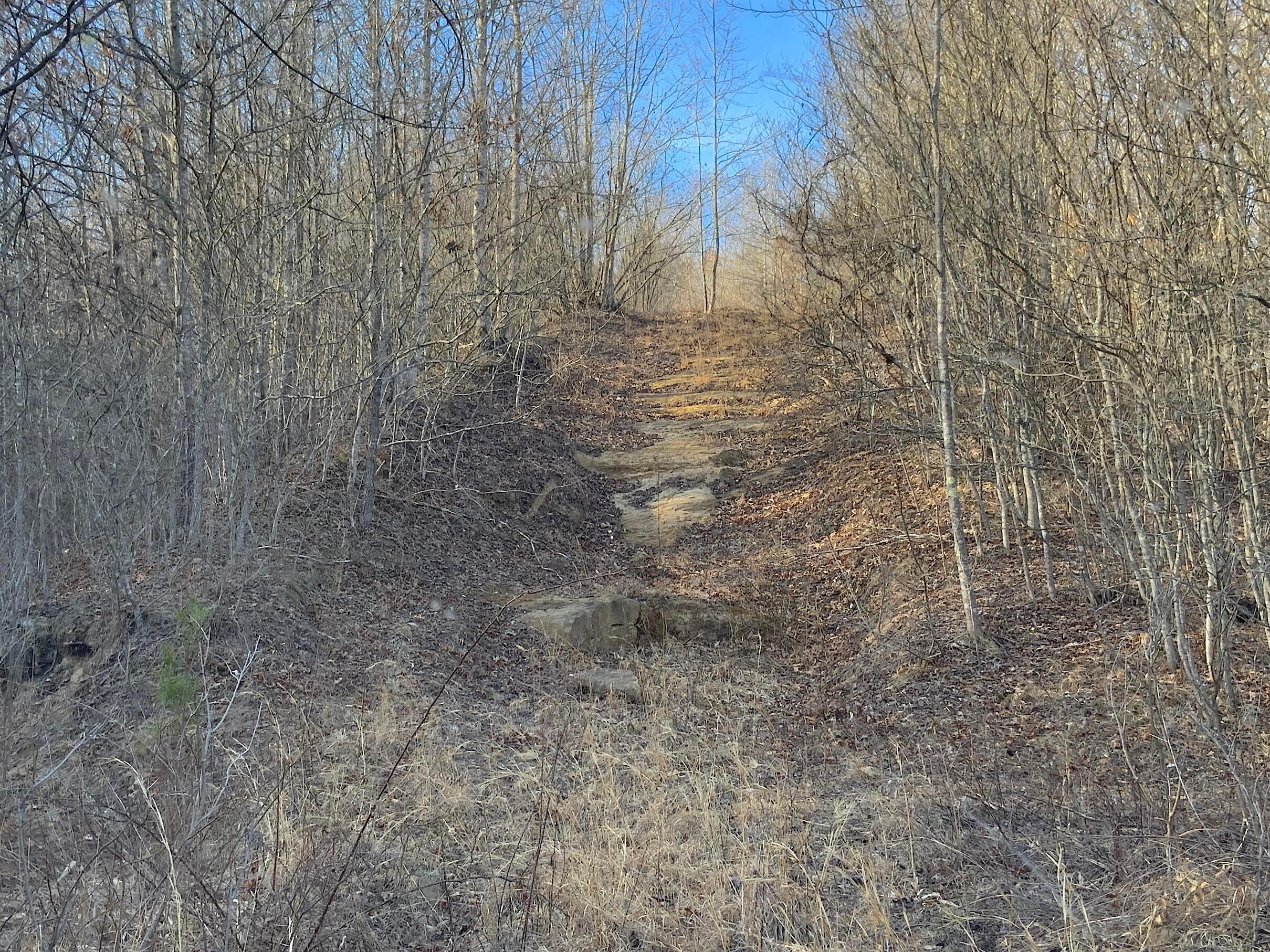0 Kelly Road Ray, OH 45672 - Photo 41 of 46 Vinton County Kelly Rd 40