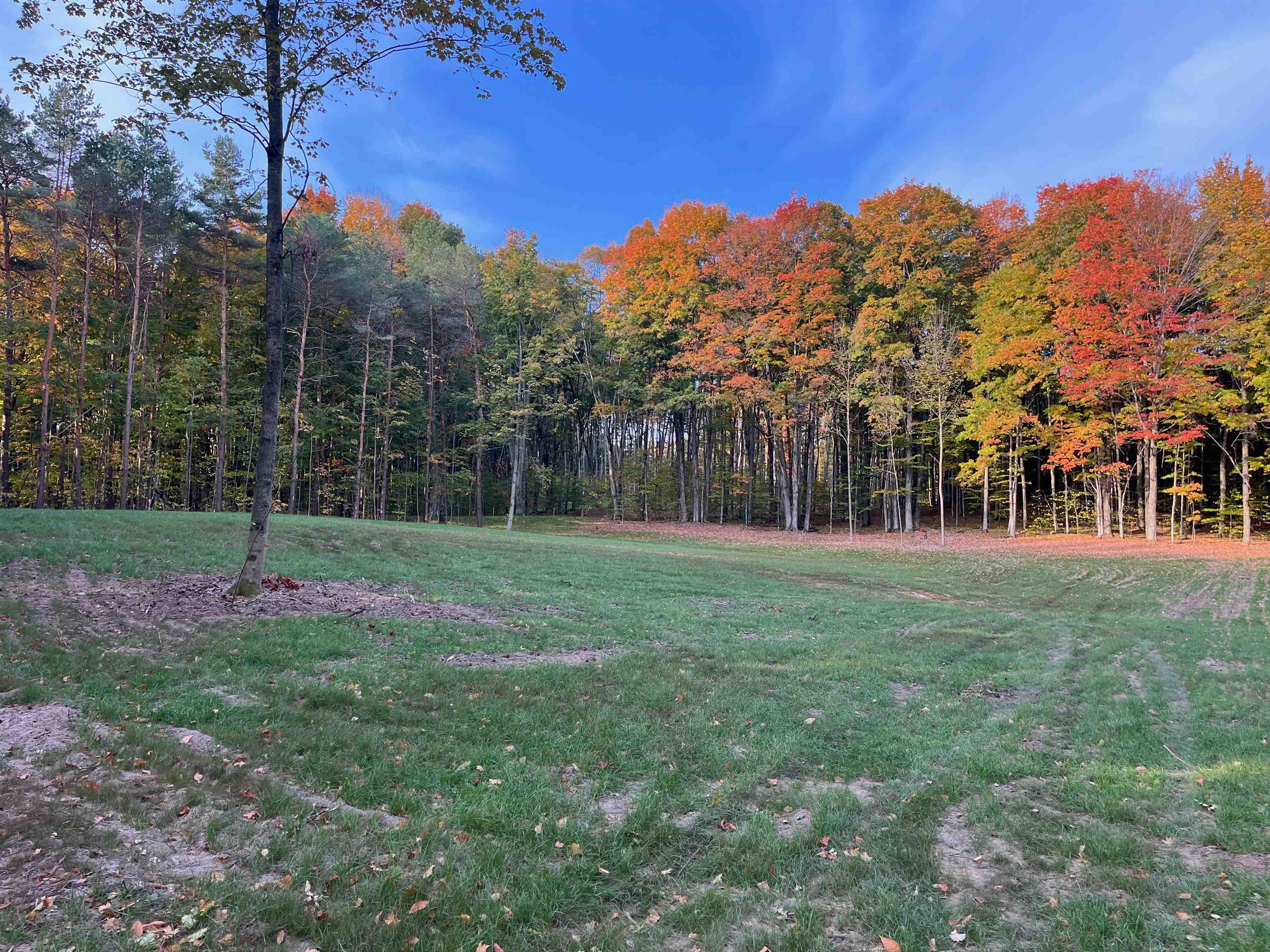 4 South Bright Road, Unit LOT: 4 Maple City, MI 49664 - Photo 2 of 10