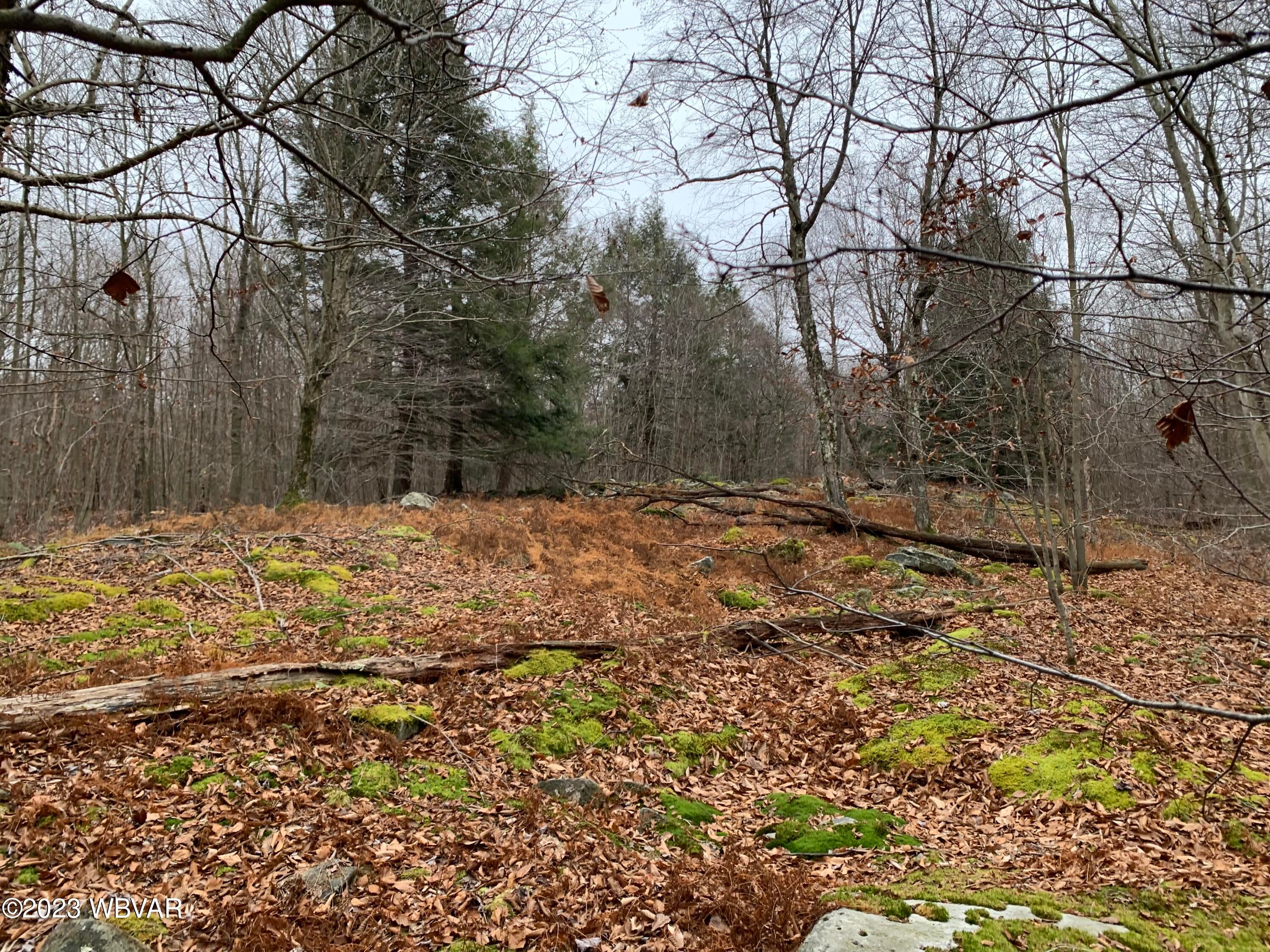 Pole Bridge Road, Unit 37 Muncy Valley, PA 17758 - Photo 8 of 18 Gallery Image 8
