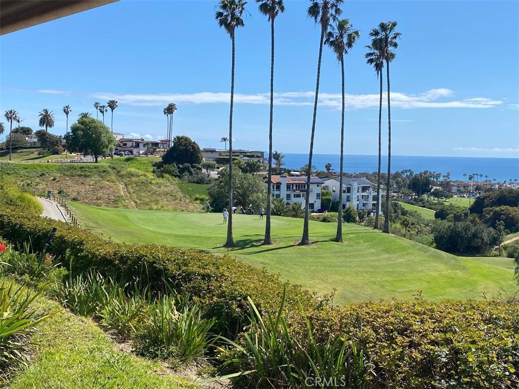 104 Avenida Adobe San Clemente, CA 92672 - Photo 2 of 3 a view of a garden with a play ground