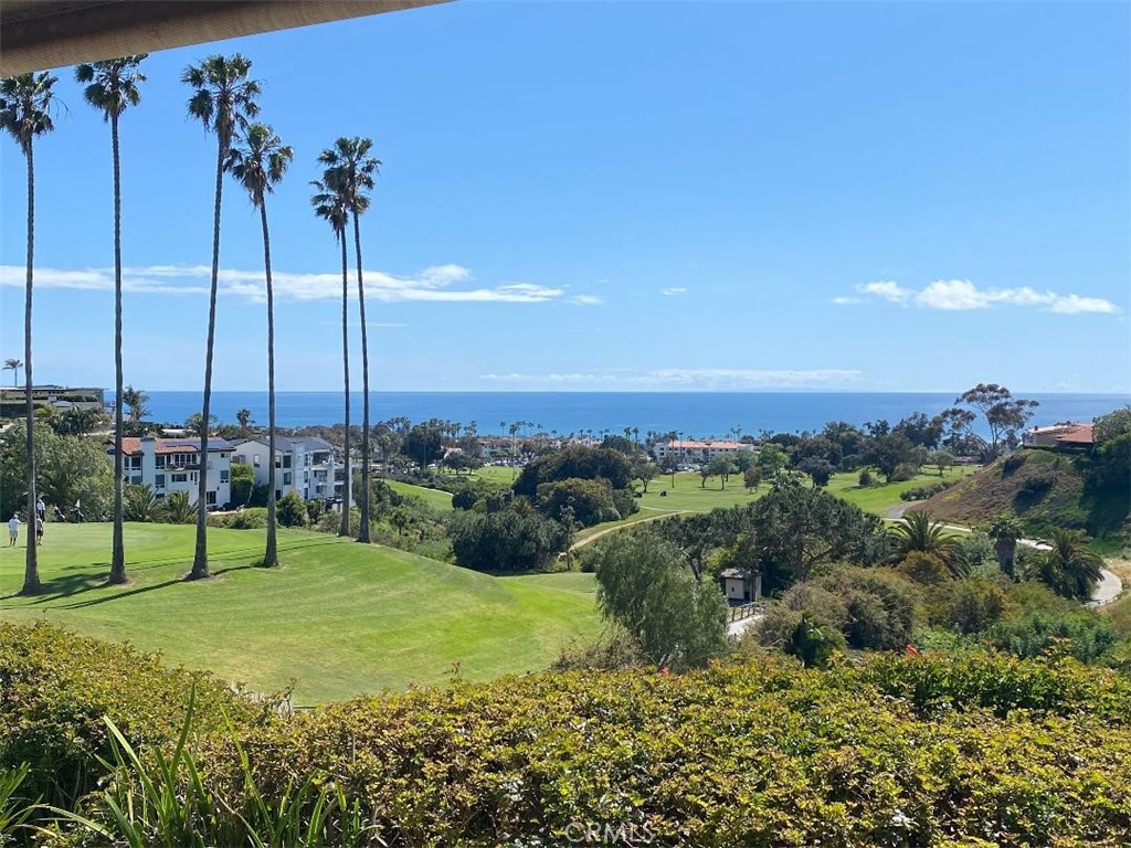 104 Avenida Adobe San Clemente, CA 92672 - Photo 3 of 3 a view of a garden with a tree