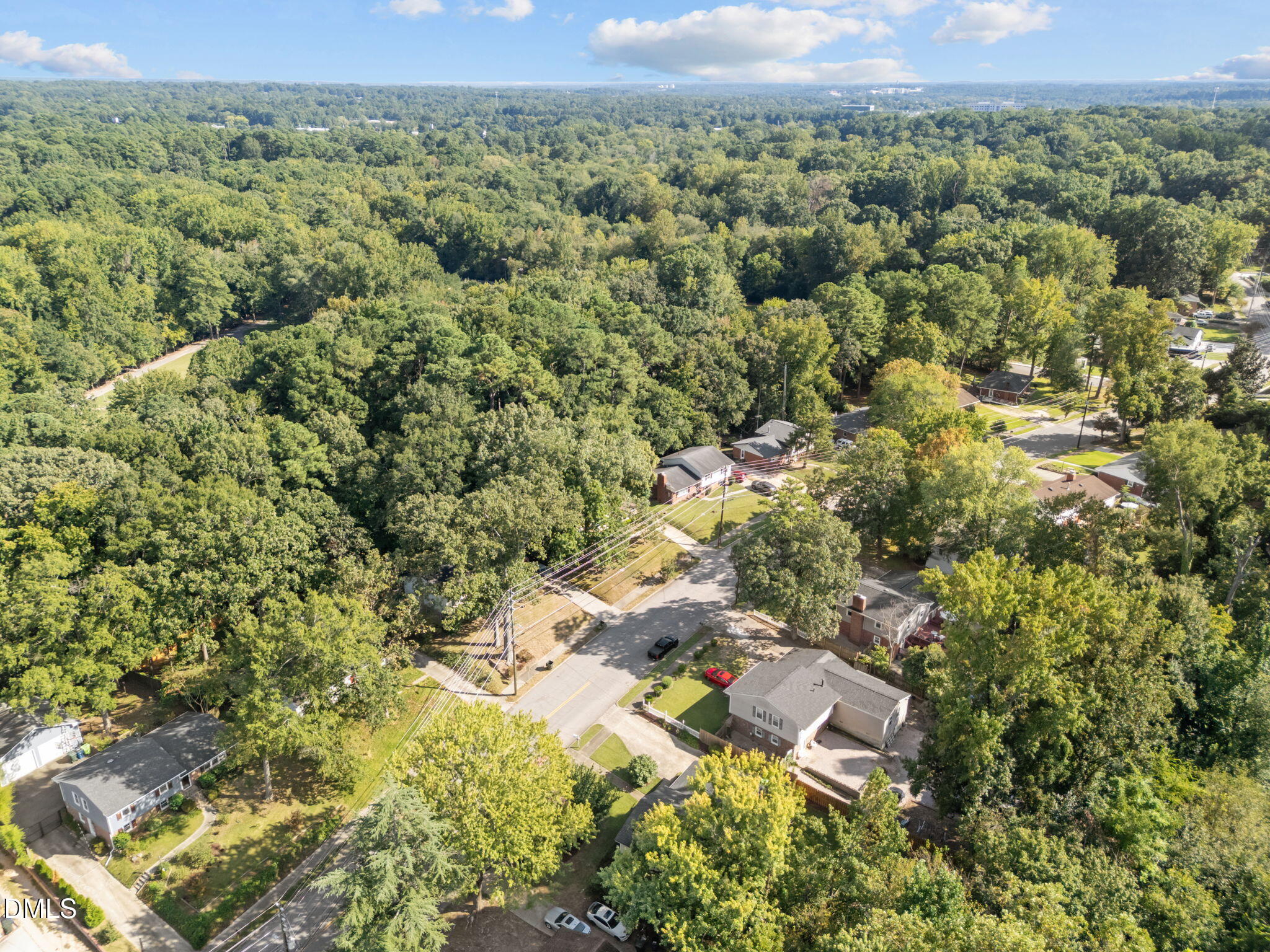 3523 Brentwood Road Raleigh, NC 27604 - Photo 33 of 43 a view of a city with lush green forest