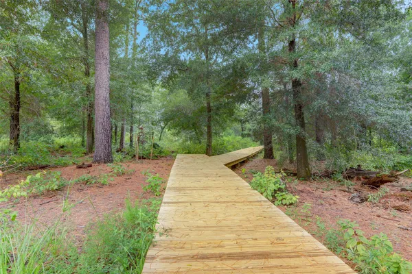 a view of pathway along with trees