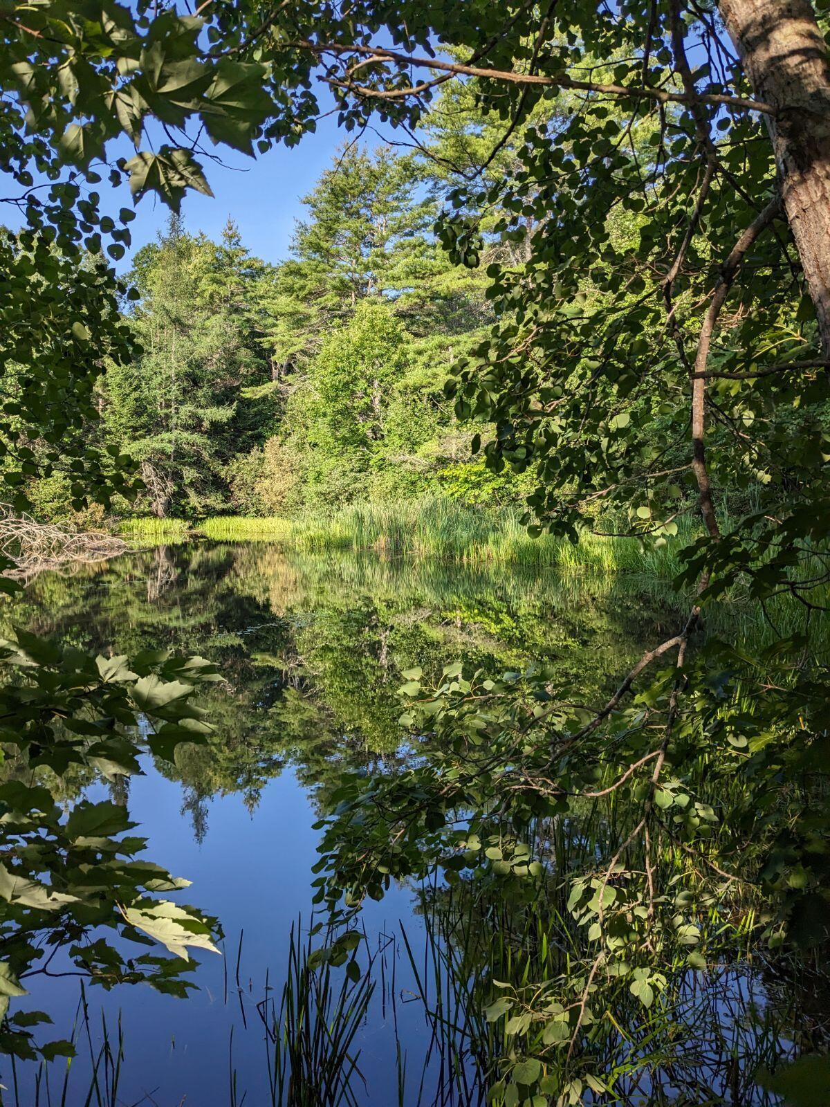 218 Weeks Mills Road China, ME 04358 - Photo 25 of 75 Pond