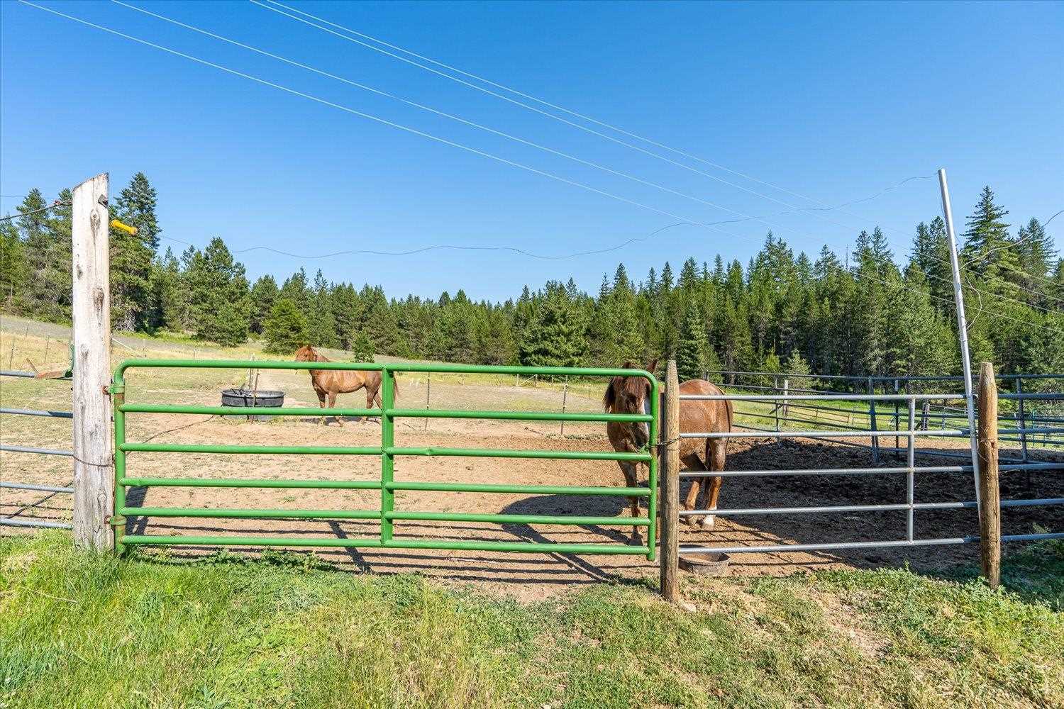 4355 Whittier Road Clayton, WA 99110 - Photo 22 of 43