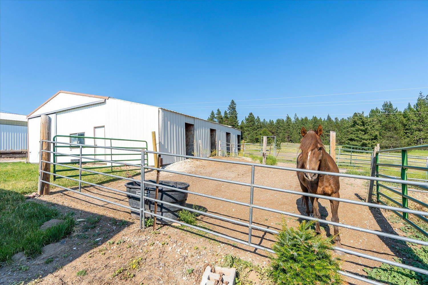 4355 Whittier Road Clayton, WA 99110 - Photo 24 of 43