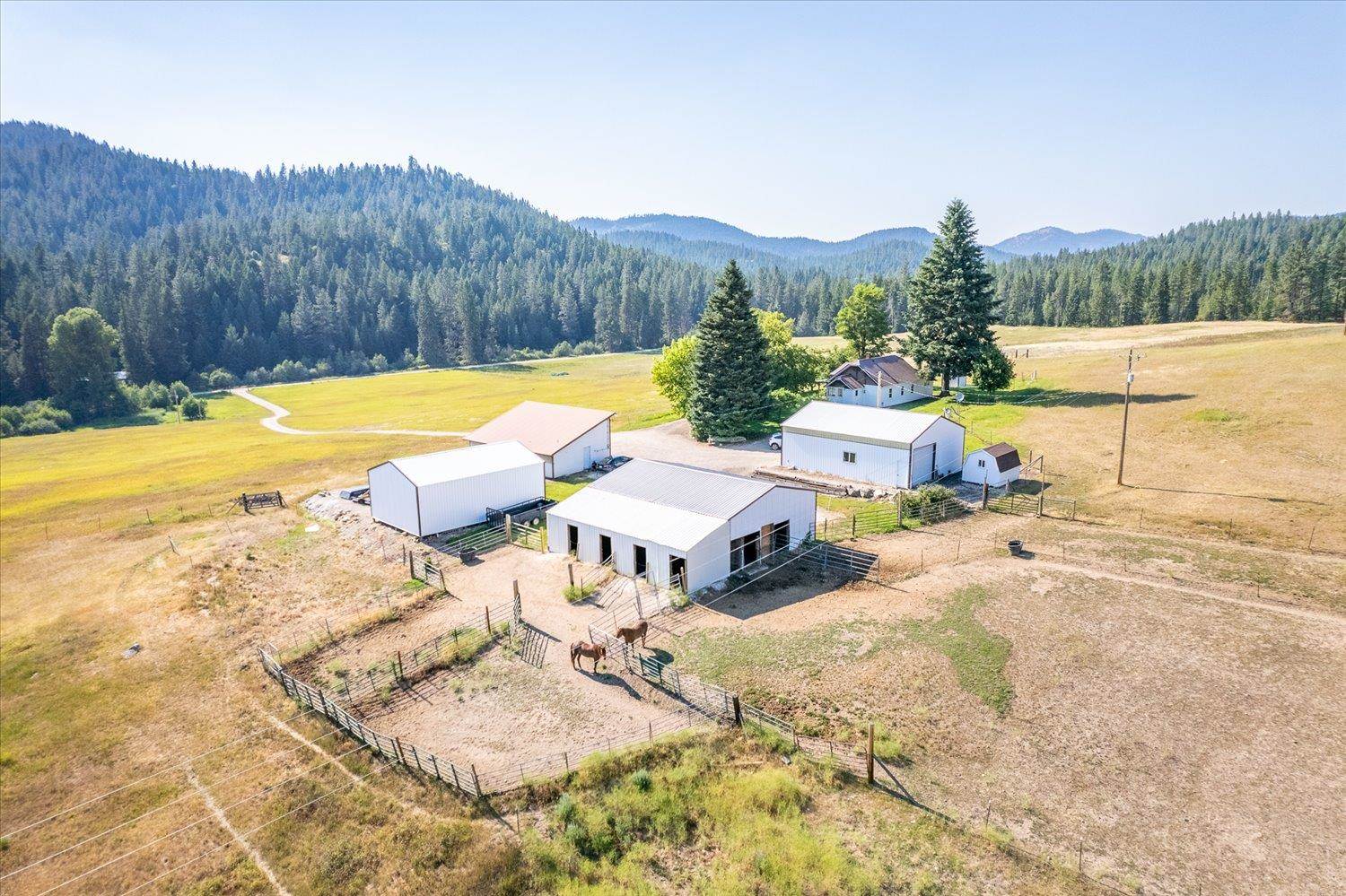 4355 Whittier Road Clayton, WA 99110 - Photo 33 of 43