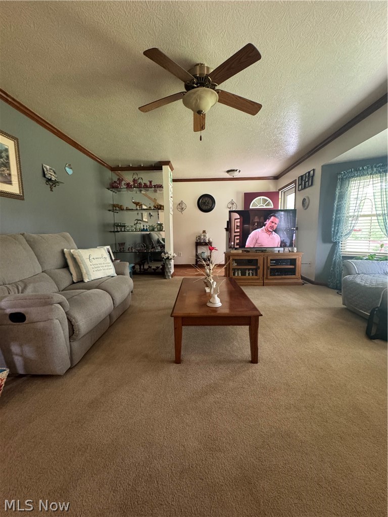 7885 Old River Road Philo, OH 43771 - Photo 20 of 28