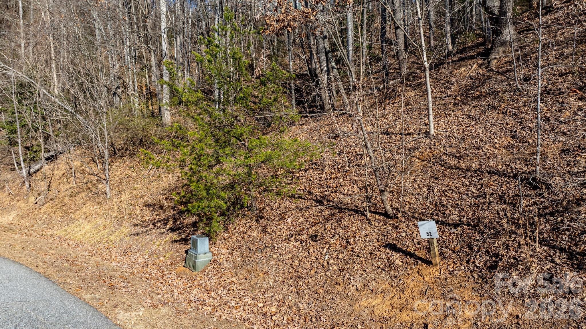 0 Round Rock Road Lenoir, NC 28645 - Photo 7 of 26 a view of a yard with a tree