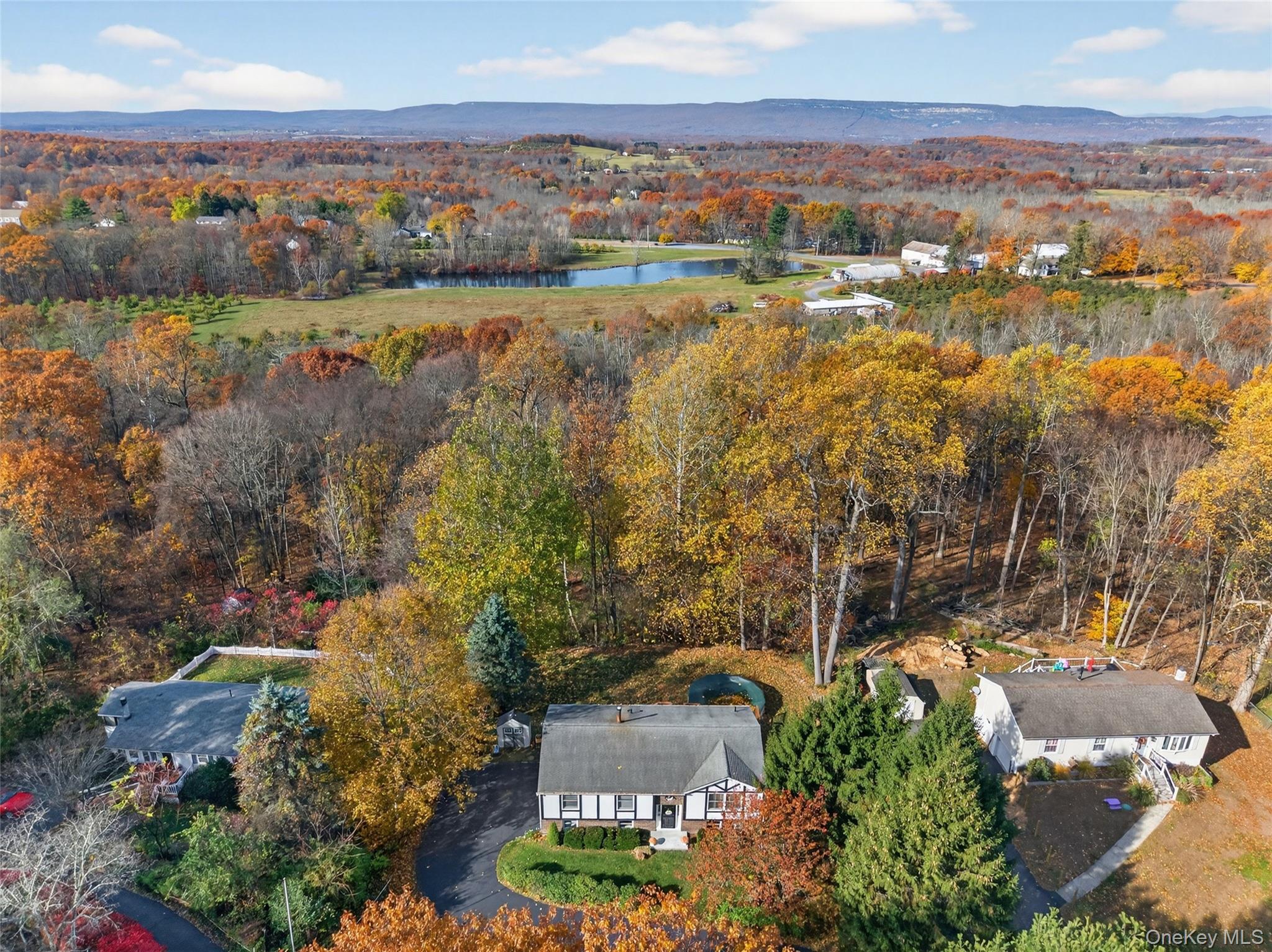 7 Colleen Lane Wallkill, NY 12589 - Photo 4 of 39 Drone / aerial view of a forest and a nearby body of water