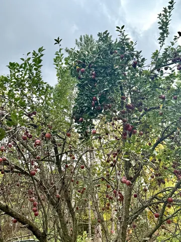 $395,000 | 20091 Red Wing Boulevard, Hastings, MN 55033