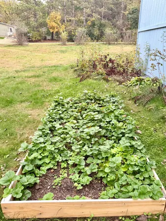 $375,000 | 20091 Red Wing Boulevard, Hastings, MN 55033