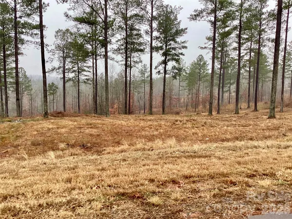 a large yard with trees in the background
