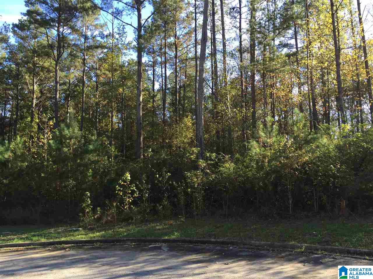 328 Logos Trace, Unit 36 Alabaster, AL 35007 - Photo 1 of 3