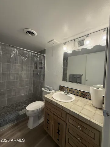 a bathroom with a sink a toilet and shower