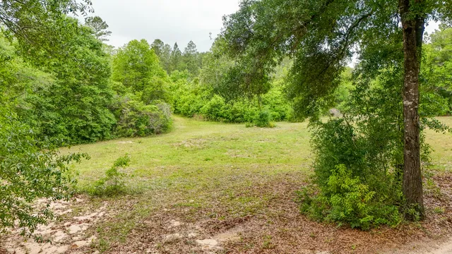 a view of a house with backyard and tree