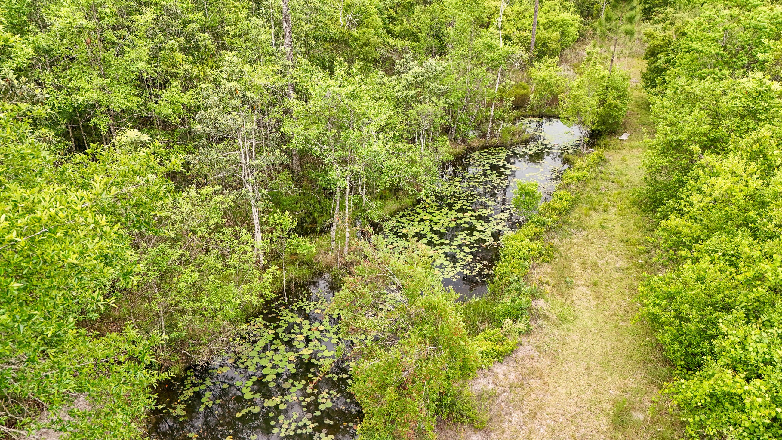 841 North 1st Street DeFuniak Springs, FL 32433 - Photo 20 of 63 a view of a tree with a yard