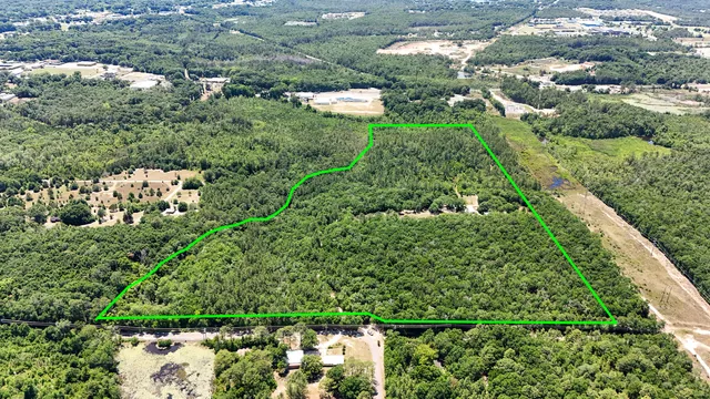 a view of a garden with a tree