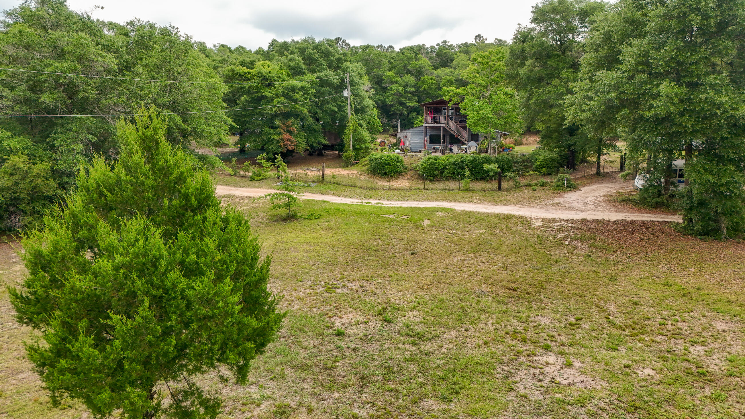 841 North 1st Street DeFuniak Springs, FL 32433 - Photo 21 of 63 a view of a garden with large trees