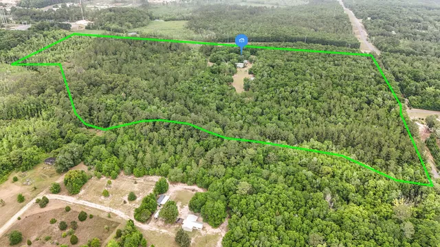 a view of a garden with a bench