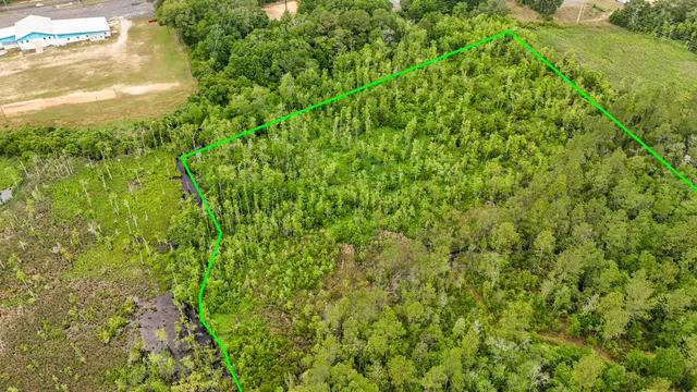 a view of a lush green space