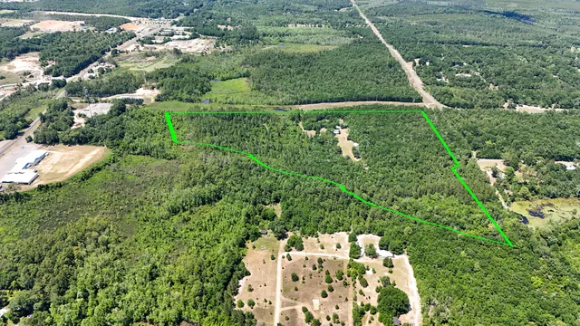 a view of a house with a yard and plants