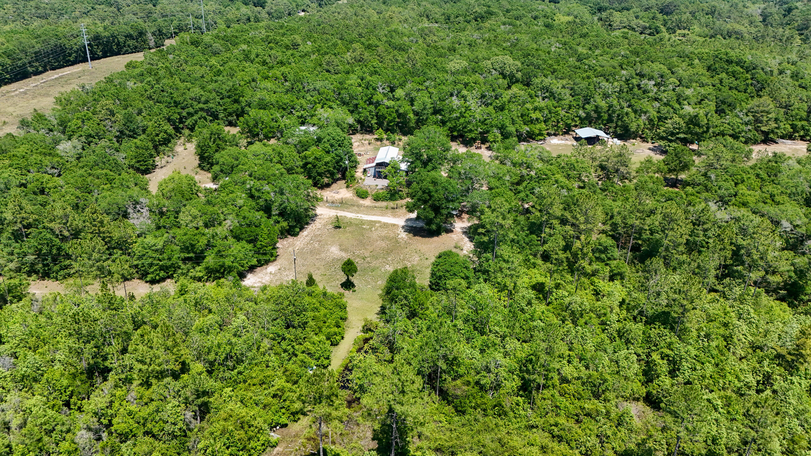 841 North 1st Street DeFuniak Springs, FL 32433 - Photo 8 of 63 a view of a forest with a tree