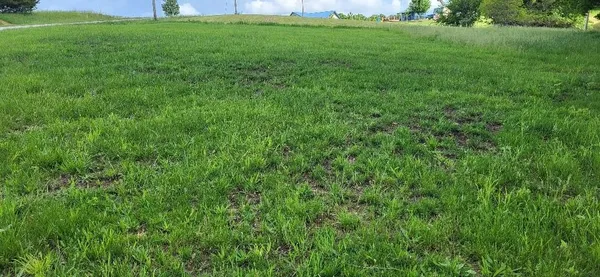 $15,000 | Lot#1193 Lake Viking Terrace, Gallatin, MO 64640