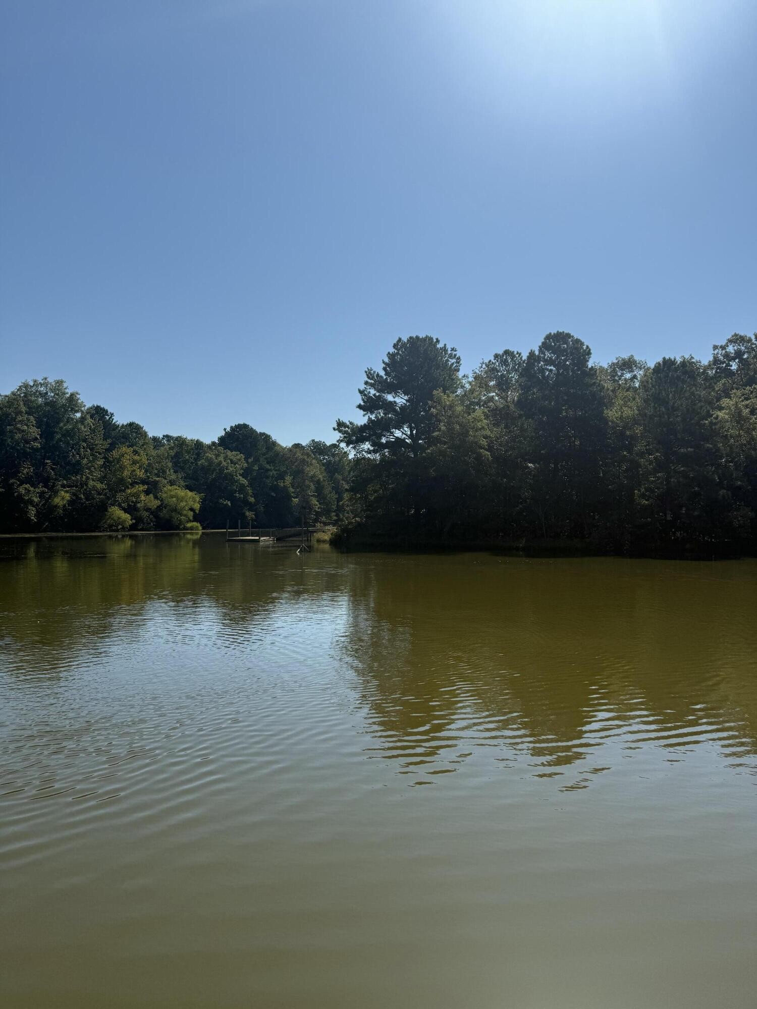 3300 Armstrong Ferry Road Decatur, TN 37322 - Photo 17 of 19