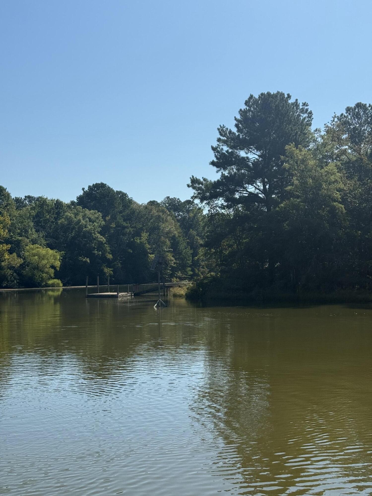 3300 Armstrong Ferry Road Decatur, TN 37322 - Photo 18 of 19