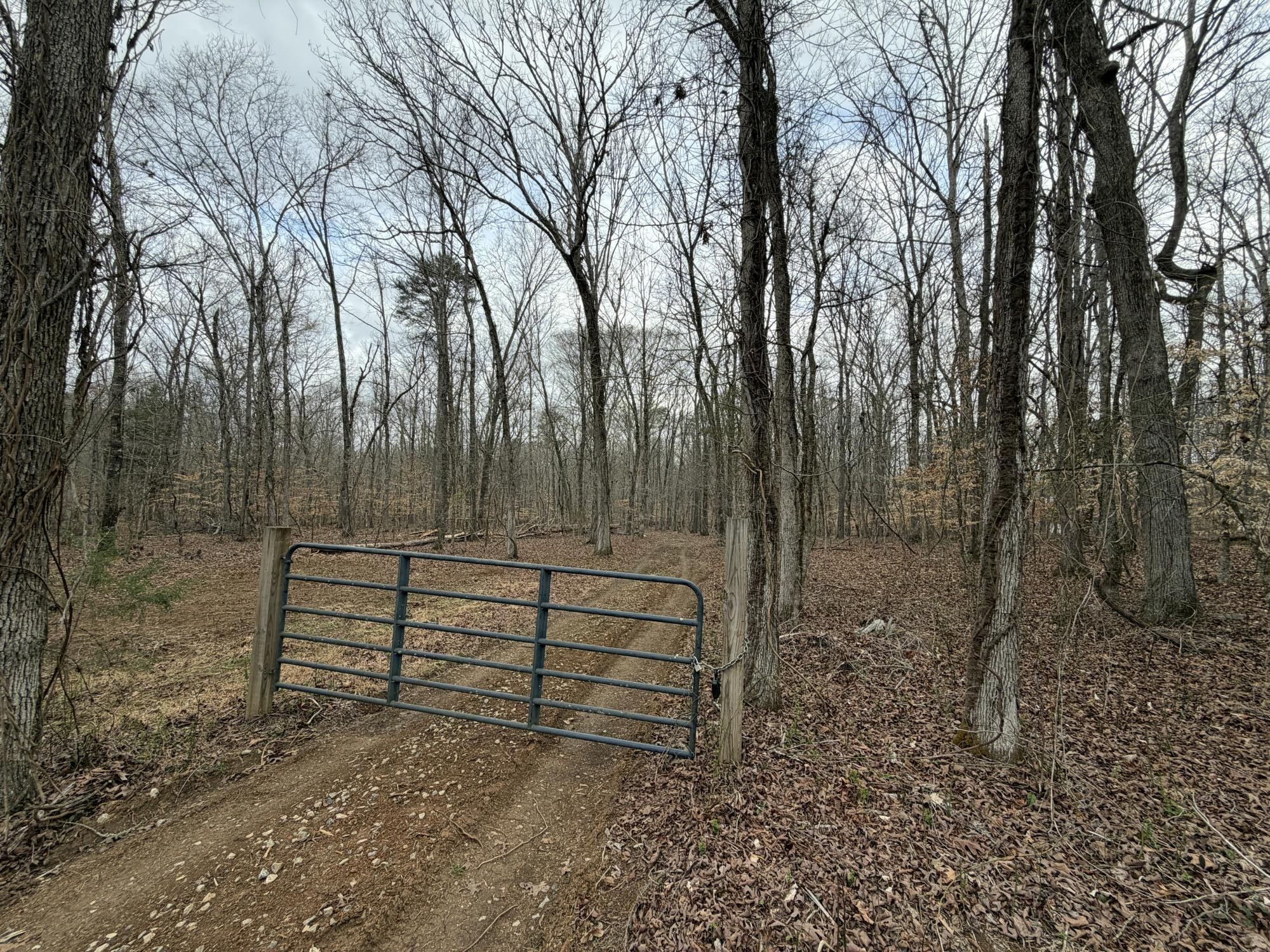 3300 Armstrong Ferry Road Decatur, TN 37322 - Photo 8 of 19