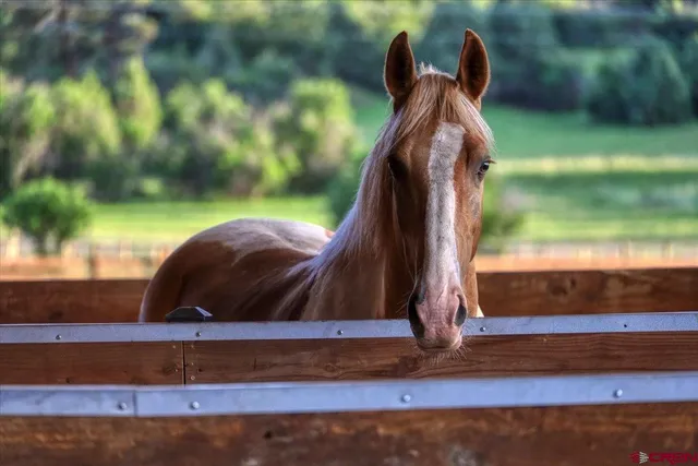 $1,800,000 | 581 Mariposa Drive, Pagosa Springs, CO 81147