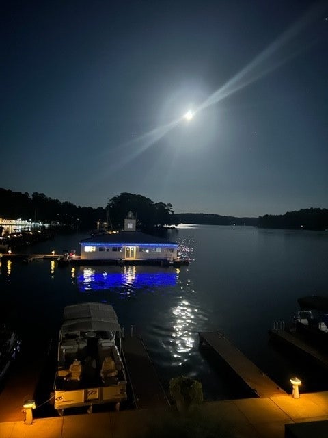445 Marina Point Road, Unit A105 Dadeville, AL 36853 - Photo 47 of 50 Gallery Image 47