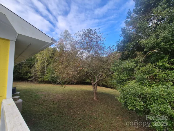 a view of backyard of house
